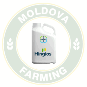 Hingios 75 OD
